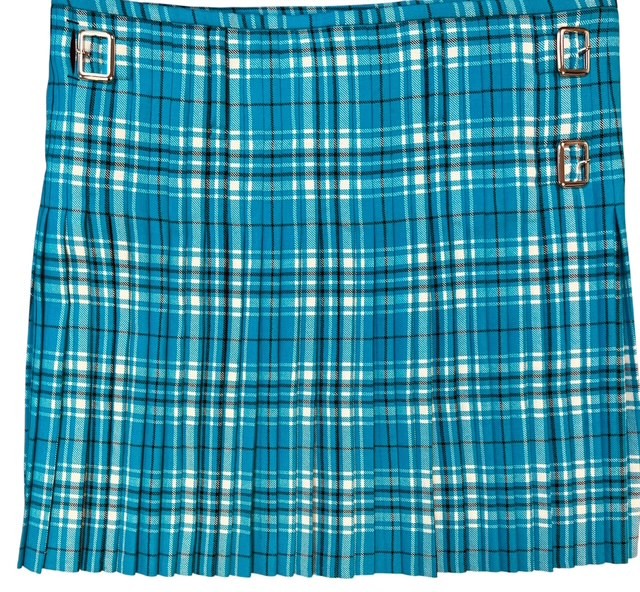 Reform UK Tartan Kilt - Image 6